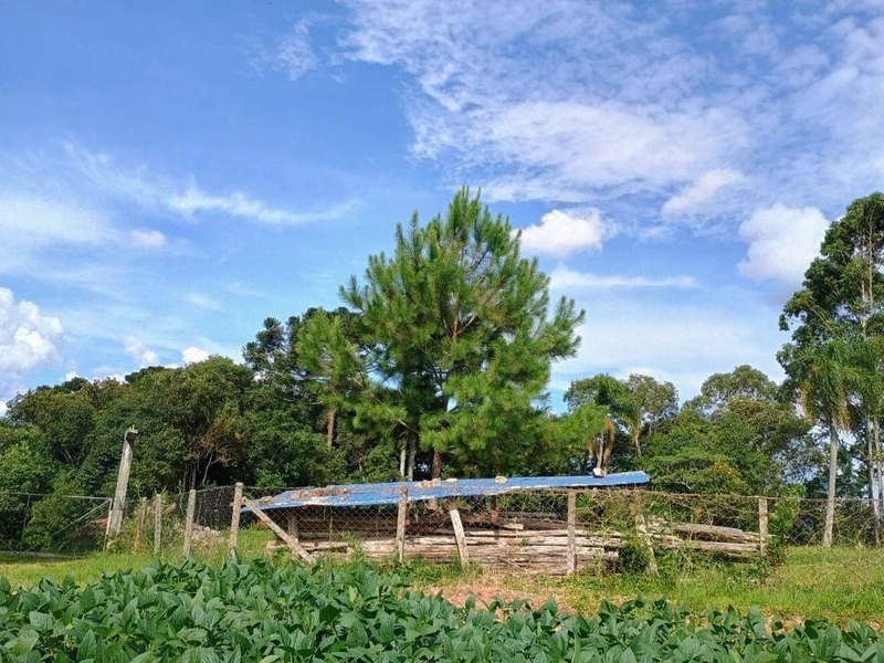 null: 8ª foto da galeria de imagens do imóvel