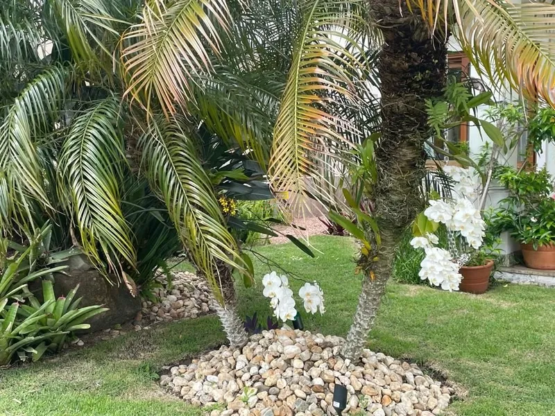 null: 39ª foto da galeria de imagens do imóvel