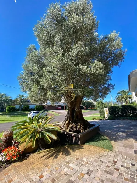 null: 5ª foto da galeria de imagens do imóvel