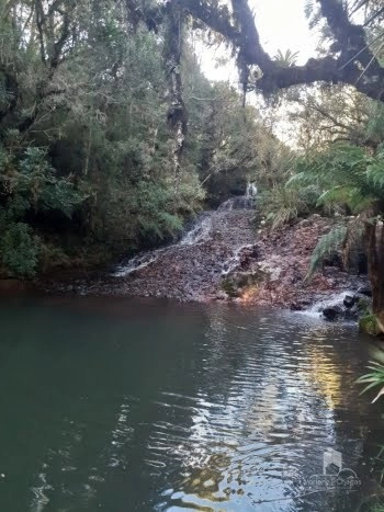 null: 6ª foto da galeria de imagens do imóvel