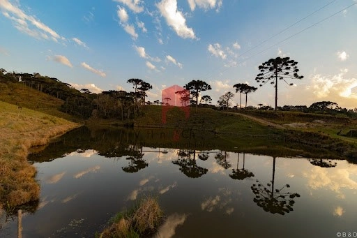 null: 19ª foto da galeria de imagens do imóvel