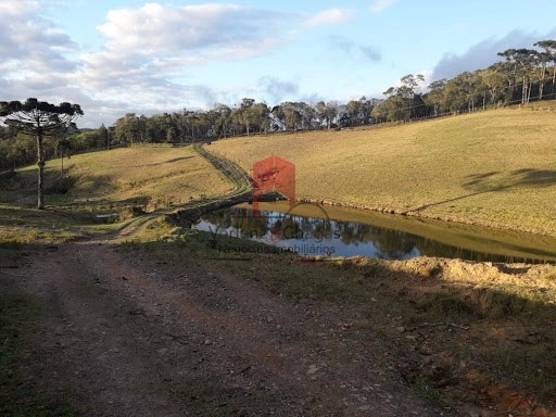 null: 18ª foto da galeria de imagens do imóvel