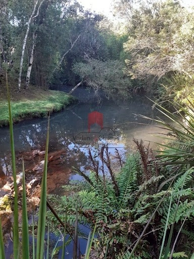 null: 14ª foto da galeria de imagens do imóvel