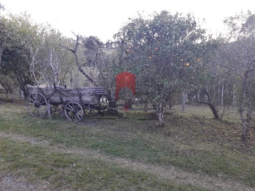 null: 21ª foto da galeria de imagens do imóvel