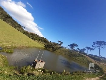 null: 7ª foto da galeria de imagens do imóvel