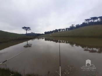 null: 5ª foto da galeria de imagens do imóvel