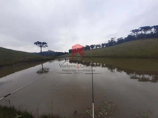 null: 13ª foto da galeria de imagens do imóvel