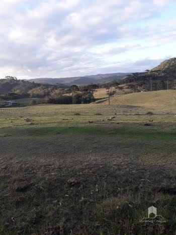 null: 4ª foto da galeria de imagens do imóvel