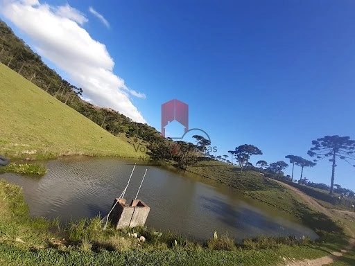 null: 15ª foto da galeria de imagens do imóvel