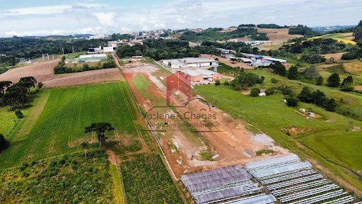 null: 11ª foto da galeria de imagens do imóvel