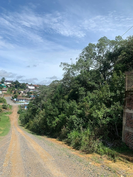 TERRENO À VENDA EM RIO NEGRINHO!: 6ª foto da galeria de imagens do imóvel