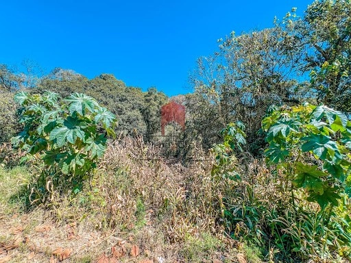 null: 2ª foto da galeria de imagens do imóvel