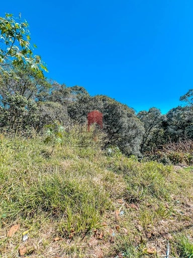 null: 3ª foto da galeria de imagens do imóvel