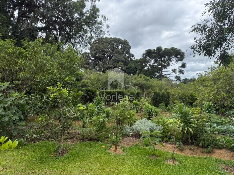 null: 11ª foto da galeria de imagens do imóvel