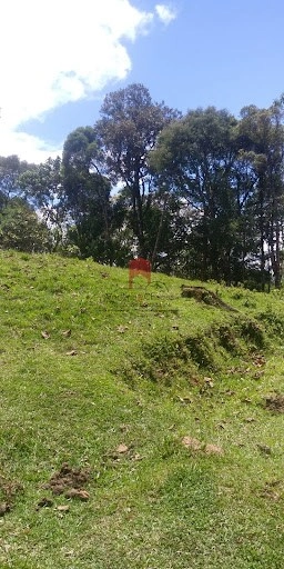 null: 15ª foto da galeria de imagens do imóvel