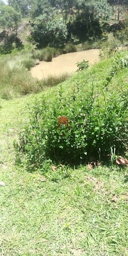 null: 4ª foto da galeria de imagens do imóvel