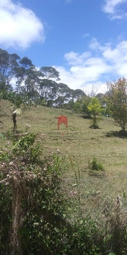 null: 16ª foto da galeria de imagens do imóvel