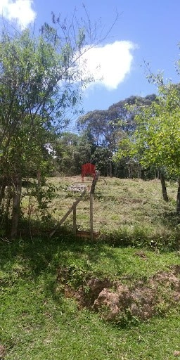 null: 10ª foto da galeria de imagens do imóvel