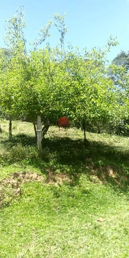 null: 11ª foto da galeria de imagens do imóvel