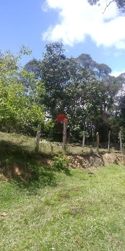 null: 6ª foto da galeria de imagens do imóvel