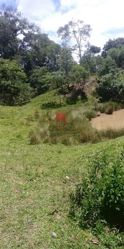 null: 13ª foto da galeria de imagens do imóvel