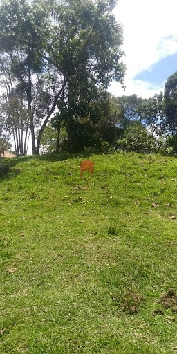 null: 8ª foto da galeria de imagens do imóvel