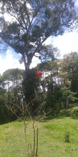 null: 2ª foto da galeria de imagens do imóvel