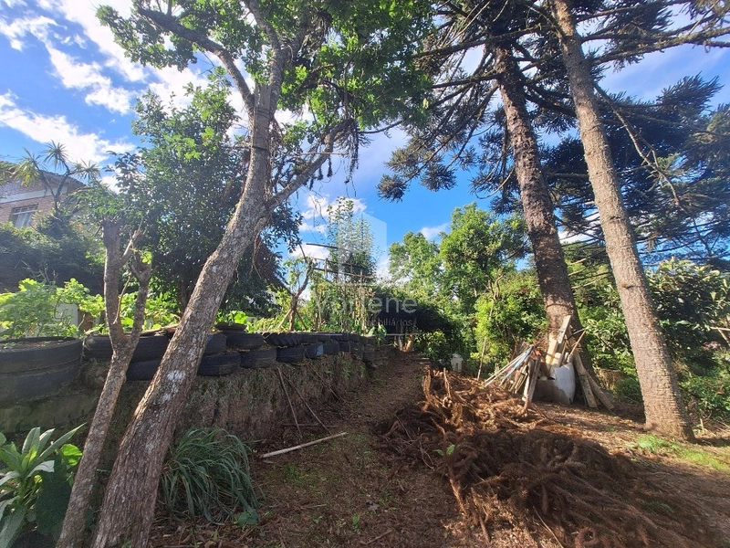 null: 3ª foto da galeria de imagens do imóvel