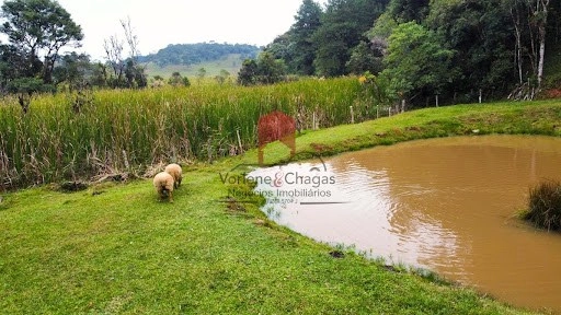 null: 3ª foto da galeria de imagens do imóvel