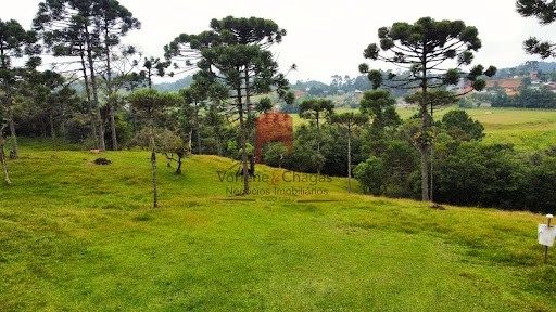 null: 7ª foto da galeria de imagens do imóvel