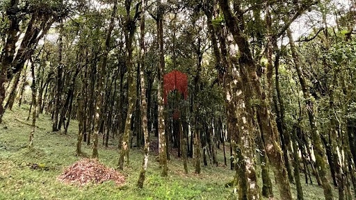 null: 10ª foto da galeria de imagens do imóvel