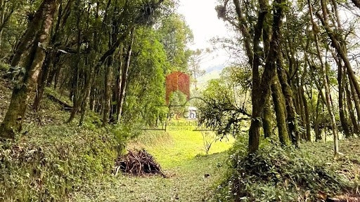 null: 14ª foto da galeria de imagens do imóvel