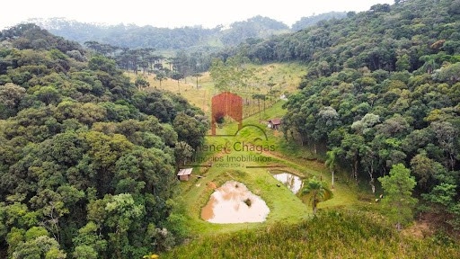 null: 5ª foto da galeria de imagens do imóvel