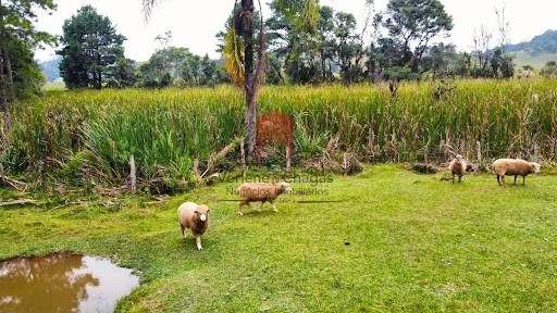 null: 1ª foto da galeria de imagens do imóvel