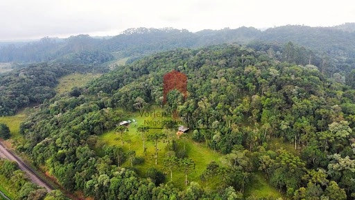 null: 13ª foto da galeria de imagens do imóvel