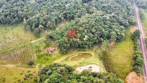 null: 12ª foto da galeria de imagens do imóvel