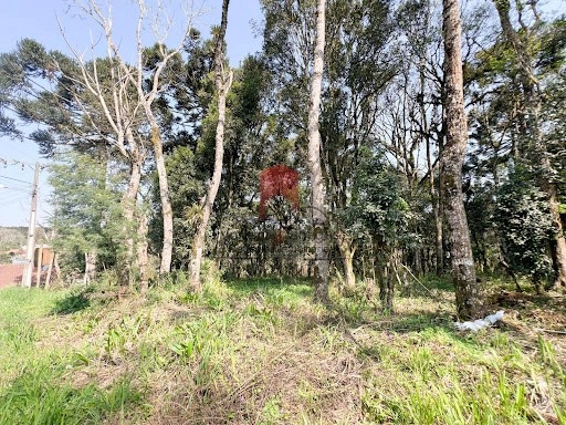 null: 3ª foto da galeria de imagens do imóvel