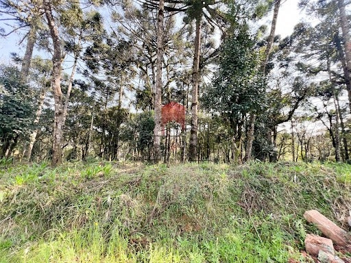 null: 6ª foto da galeria de imagens do imóvel