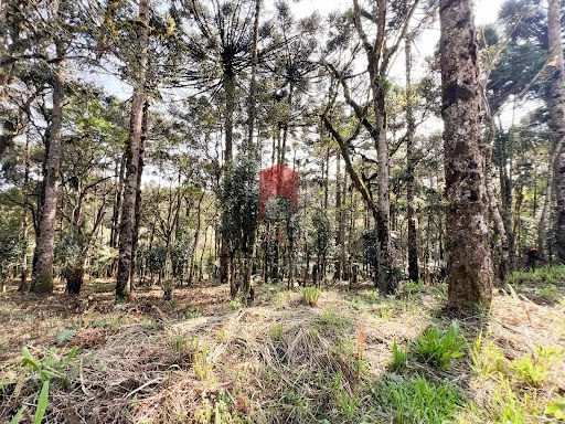 null: 4ª foto da galeria de imagens do imóvel