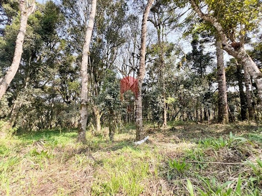 null: 5ª foto da galeria de imagens do imóvel