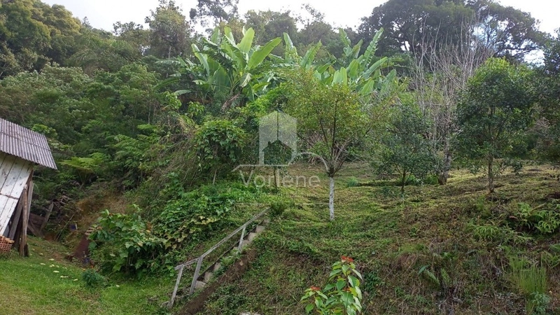 null: 2ª foto da galeria de imagens do imóvel