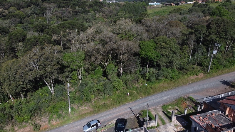 TERRENOS À VENDA NO BAIRRO BRASÍLIA!: 2ª foto da galeria de imagens do imóvel