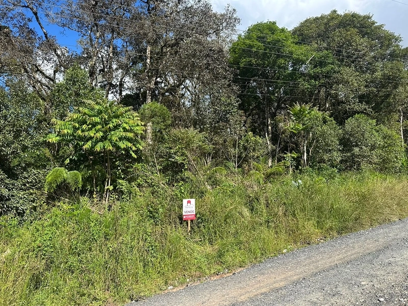 TERRENOS À VENDA NO BAIRRO BRASÍLIA!: 3ª foto da galeria de imagens do imóvel