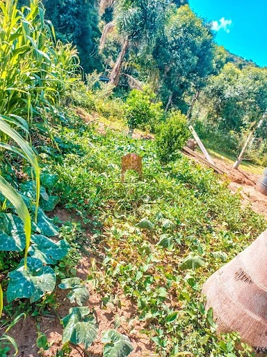 null: 16ª foto da galeria de imagens do imóvel