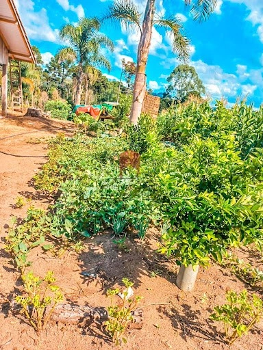 null: 11ª foto da galeria de imagens do imóvel