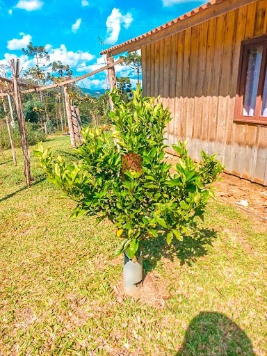 null: 15ª foto da galeria de imagens do imóvel