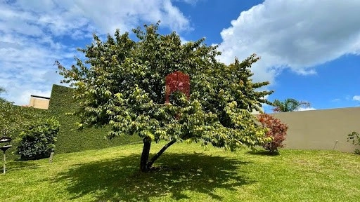 null: 15ª foto da galeria de imagens do imóvel