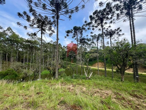 null: 6ª foto da galeria de imagens do imóvel