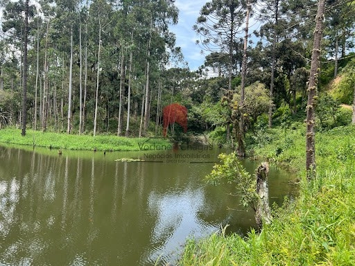 null: 18ª foto da galeria de imagens do imóvel