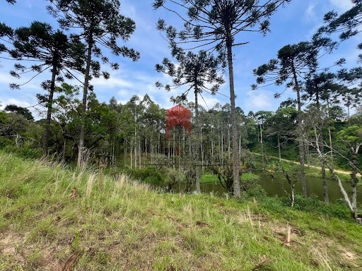 null: 15ª foto da galeria de imagens do imóvel